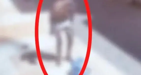Aveva devastato piazza Duomo: già libero, si spoglia nudo in centro a Trento. La Provincia: «Non ci sono gli estremi per un Tso»