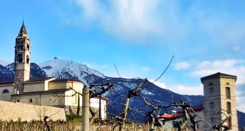 Il Cornetto innevato visto dai pomari della Valle dei Laghi