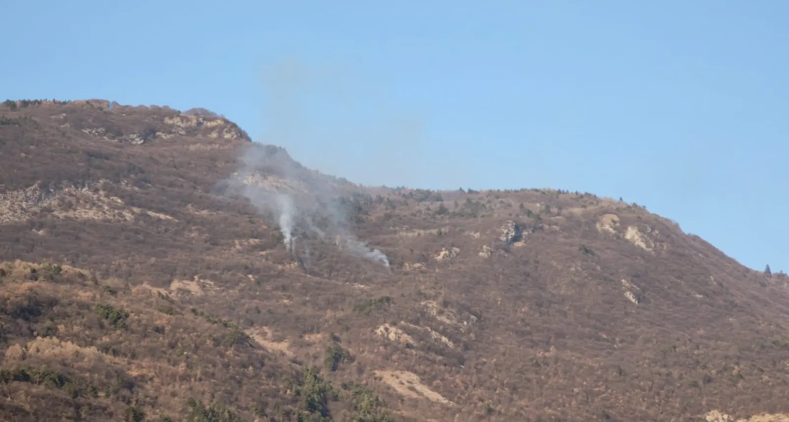 Incendio boschivo sopra Pomarolo, il rapido intervento dei pompieri limita i danni