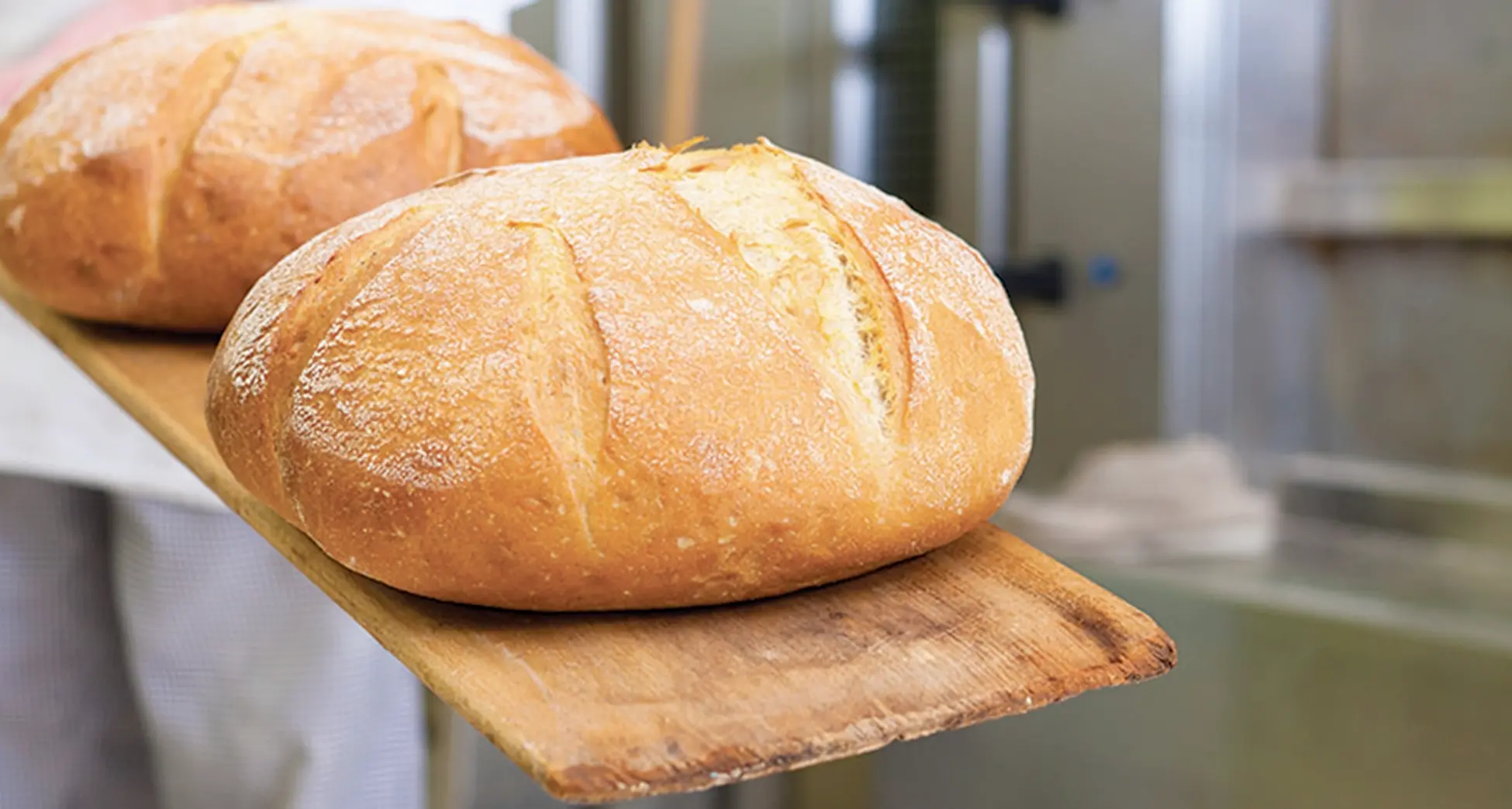 L'allarme del Codacons: prezzi del pane alle stelle, Trento e Bolzano le città più care