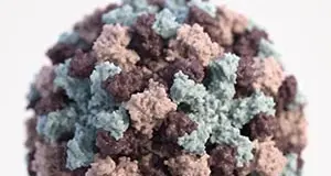 Norovirus al passo del Tonale, ma il problema è “solo lombardo”: tutto quello che c’è da sapere