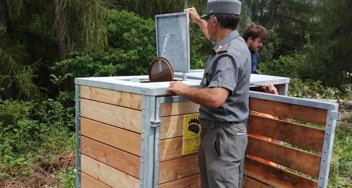 Arrivano i nuovi cassonetti anti-orsi: hanno uno “scudo” in larice e metallo