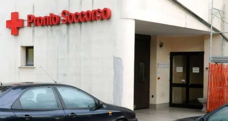 Cane morde la natica a una donna, il medico: “Un buongustaio”