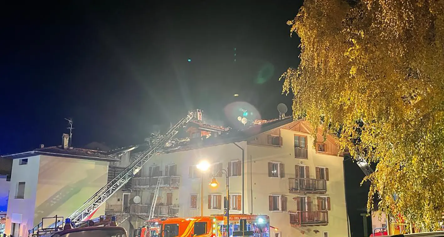 Il gatto coinvolto nell’incendio: massaggio cardiaco e kit di rianimazione pediatrica, ma è tutto inutile