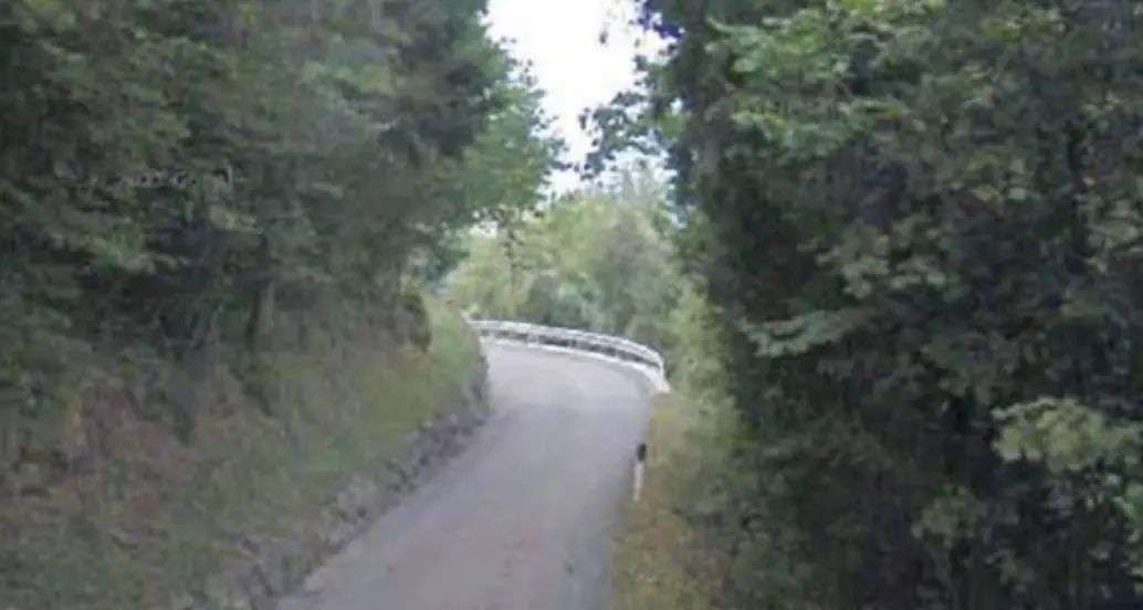 Morto il ragazzo 16enne di Brez che si è schiantato con la bici contro un albero