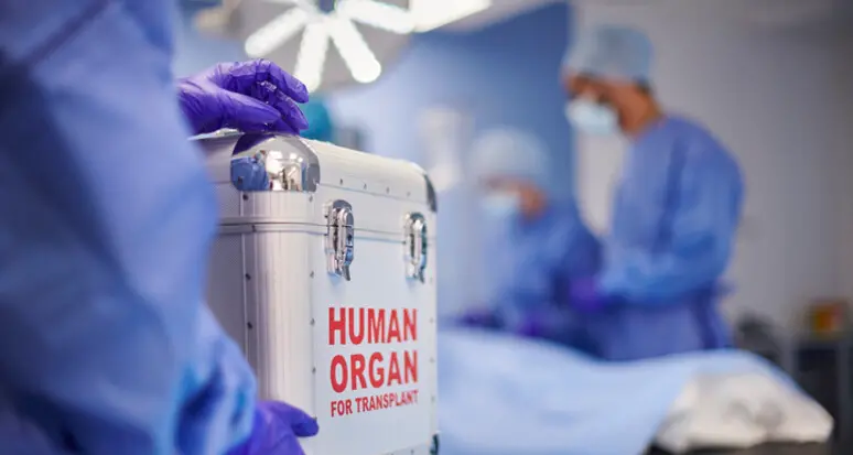 Donazione organi, il Trentino ai vertici: l’anno scorso 47 persone trapiantate, 42 sono in attesa