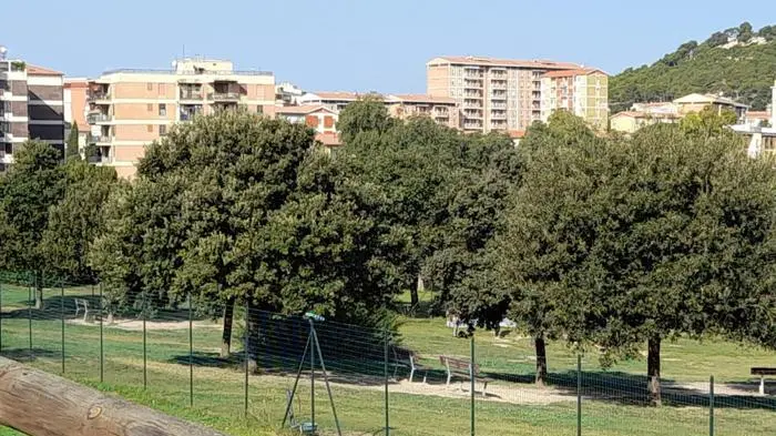 UFFICIO STAMPA CITTA\\' METROPOLIT