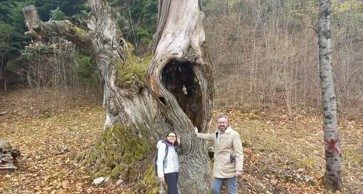 Sardagna e le sue castagne: nascerà la denominazione De.co