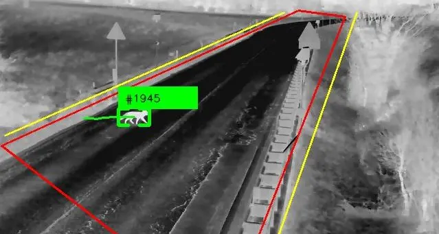 In Valle dei Laghi le telecamere con l'Intelligenza Artificiale per evitare incidenti con gli ungulati