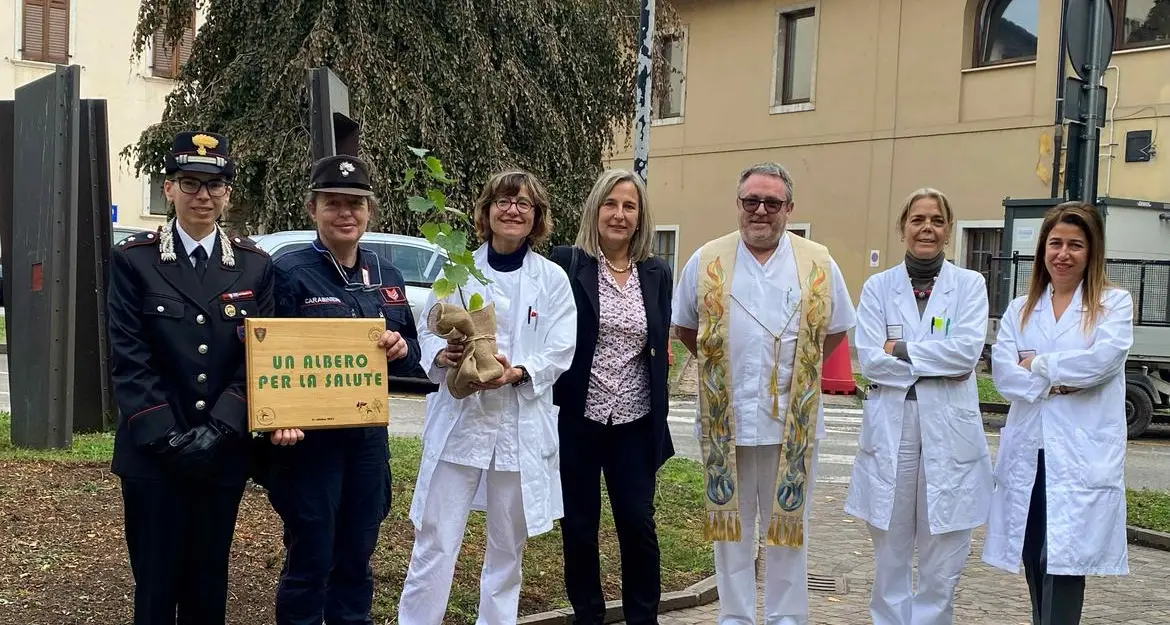 «Un albero per la salute»: a Rovereto un simbolo di rinascita e cura condivisa