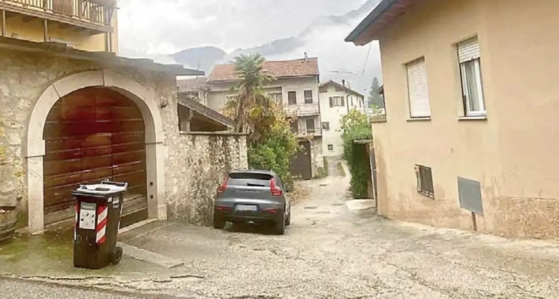 Tierno, incontro ravvicinato tra un orso e un ragazzo di 13 anni
