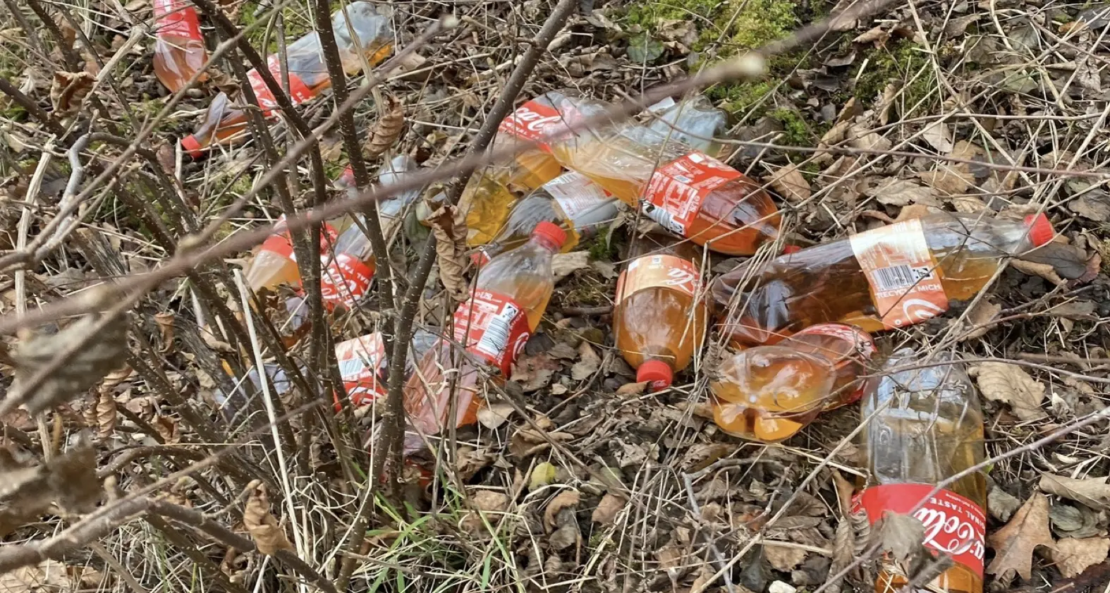 Rifiuti nella zona industriale di Rovereto, Degasperi avverte la giunta Fugatti: “A rischio la salute pubblica”