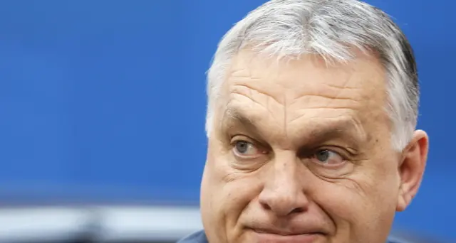 Nato: Orban, adesione Svezia-Finlandia non legata a Fondi Ue