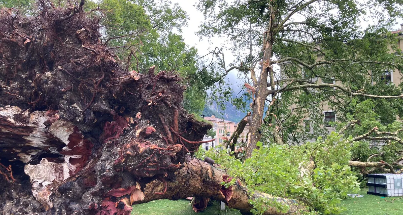 Nubifragio sul Garda, la sindaca chiude tutta la zona sul lago per motivi di sicurezza
