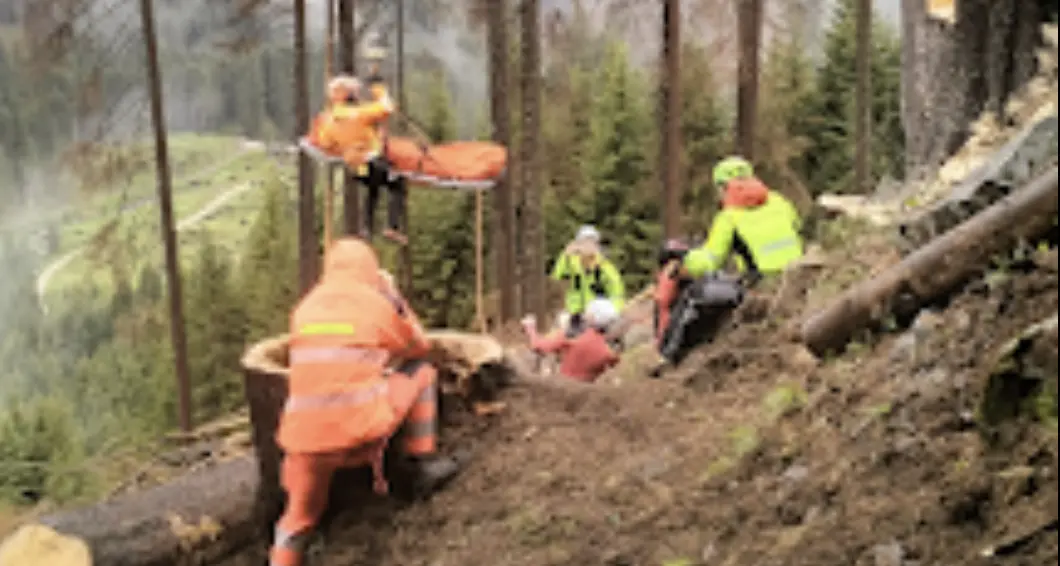 Predazzo: travolto da un tronco mentre lavora nel bosco, portato al Santa Chiara con l’elicottero