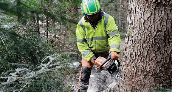 Roncegno, travolto dall’albero che stava tagliando: ferito un 59enne