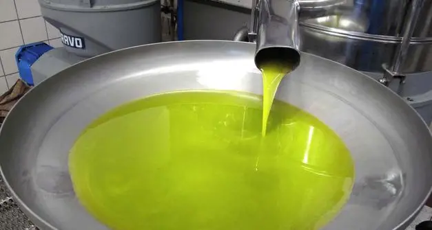 Premio olio del Garda Dop, terzo il Centro di formazione professionale alberghiero di Riva