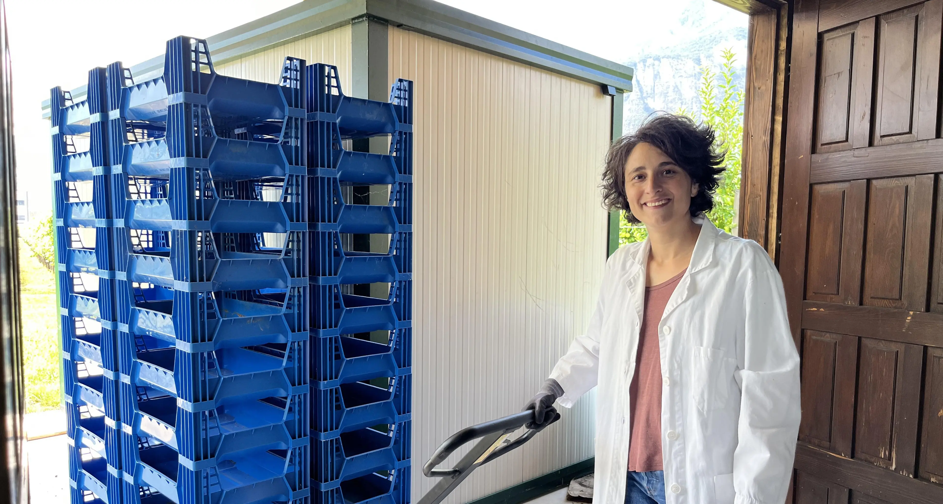 Coltivare le mosche: ecco l'azienda innovativa di Zambana che crea i mangimi del futuro