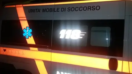 ANSA