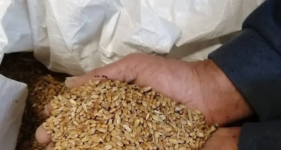 Boom dei costi delle materie prime, Barbacovi (Coldiretti): “A pagare le fasce deboli della popolazione”