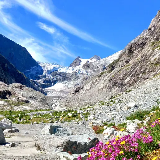 Il ritiro dei ghiacciai mette a rischio una biodiversità ancora inesplorata