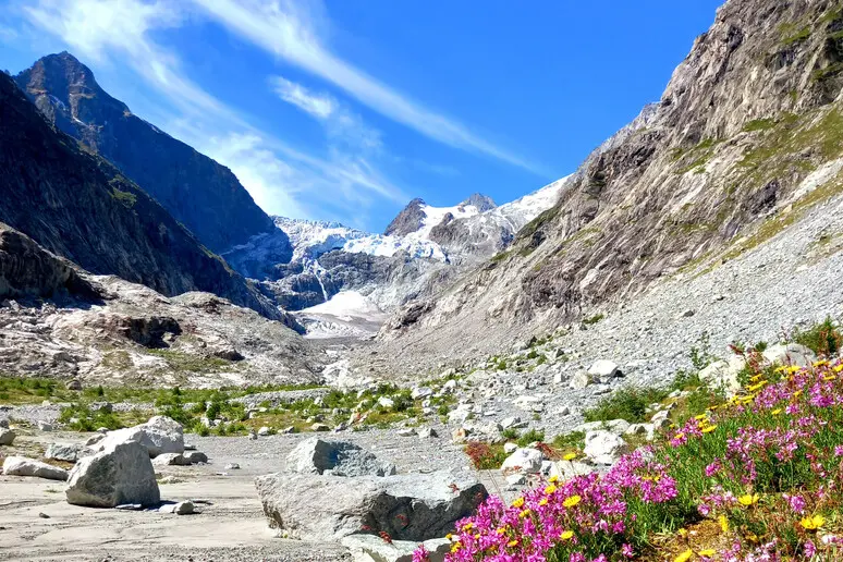 Il ritiro dei ghiacciai mette a rischio una biodiversità ancora inesplorata