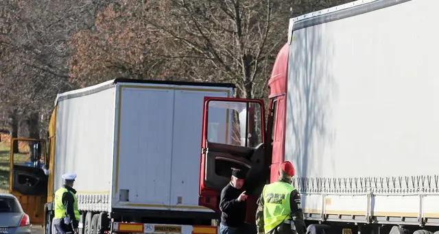 Bielorussia: Polonia arresta oltre 50 migranti al confine