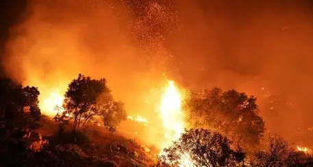 Serata della vigilia di paura a Piné: rogo boschivo nella zona del lago di Serraia