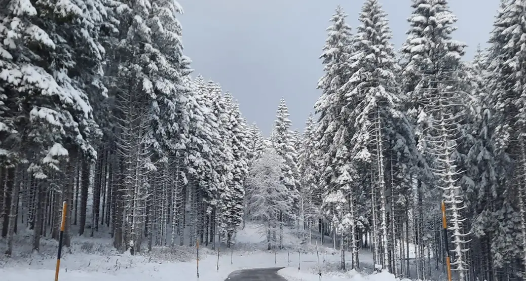 E’ arrivata la nevicata tanto attesa; dalla Rendena al Passo Rolle – FOTO