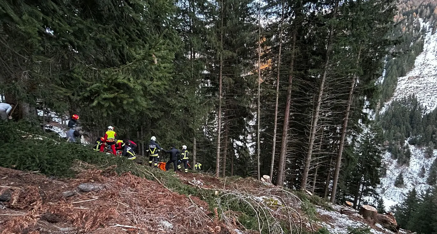 Incidente nei boschi sopra Cogolo di Peio: boscaiolo ferito e recuperato dall’elicottero