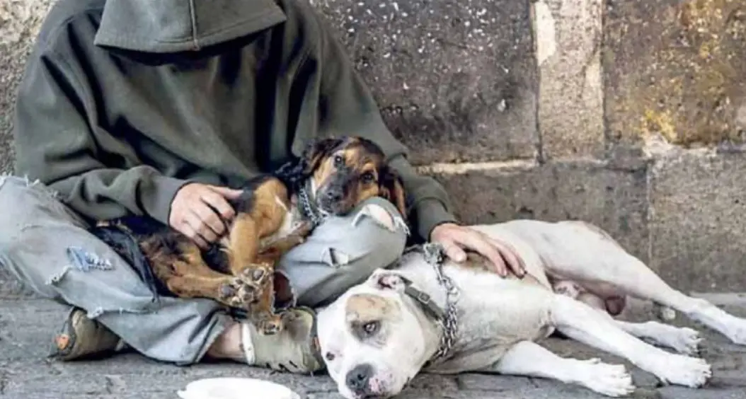 “Ormai gli accattoni si prestano i cani, non si può andare avanti così”