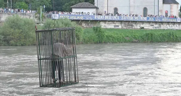 Not in ritardo, liste d’attesa infinite, sistemi in tilt: “toncati” Fugatti, Tonina e Ferro