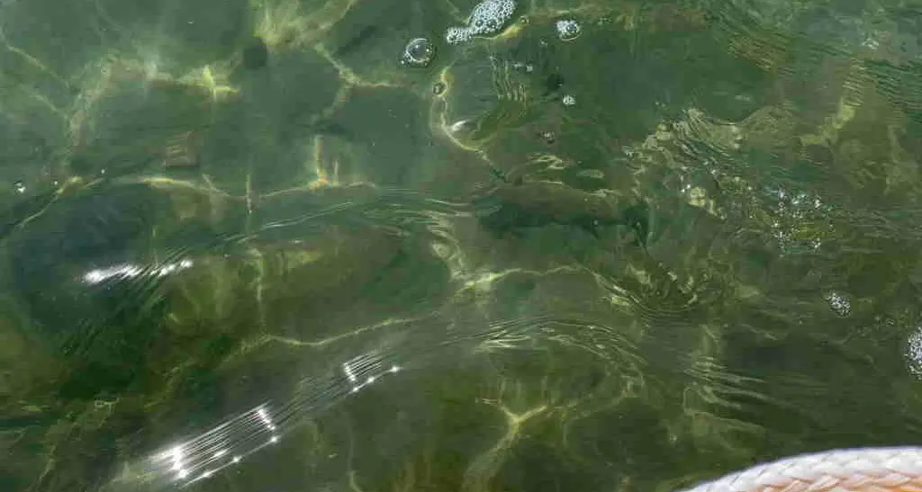 Bombe nel lago di Caldonazzo, arrivano gli artificieri della Marina Militare