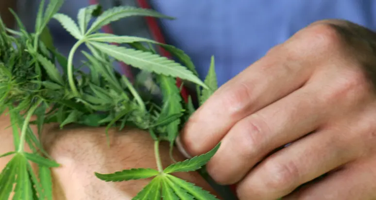 Intervengono per sedare una rissa in famiglia a Civezzano, trovano droga e bilancini: 32enne nei guai