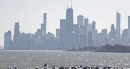 Rapinato e ucciso a Chicago un giovane umbro: viveva negli Usa dal 2015