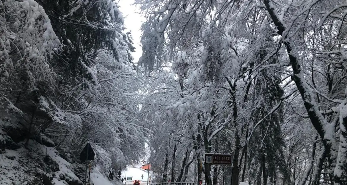 Neve e pioggia in Trentino, aggiornamento sulle chiusure delle strade