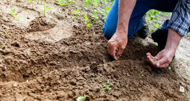 Edilizia in area agricola, il Cal chiede equilibrio: “Si limiti il consumo di suolo”