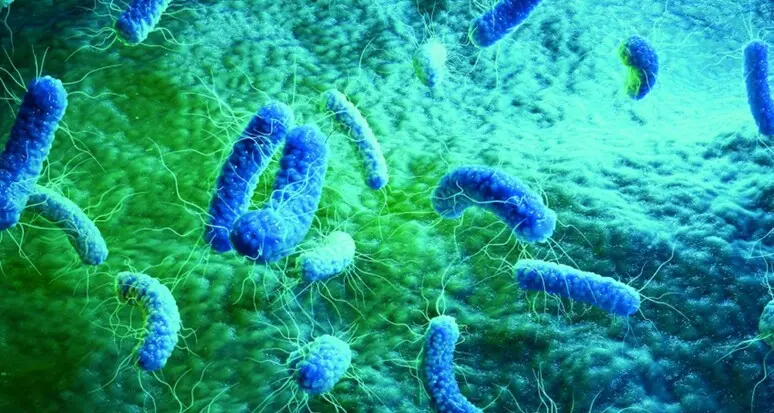 Resistenza agli antibiotici, Italia maglia nera in Ue. I medici trentini: “Rischi per il futuro”