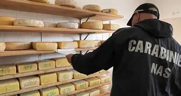 Formaggio contaminato: consulto negato, arriva la prescrizione