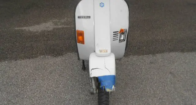 Va al lavoro con il Vespino all’alba, investe un orso sulla strada del Lisano