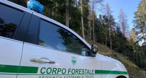 Strade forestali aperte ai mezzi dei cacciatori? «Sì, quando cacciano il cervo: serve a proteggerli dagli orsi»