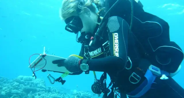 Maldive: legale Gualtieri, team specializzato s'immerge domattina