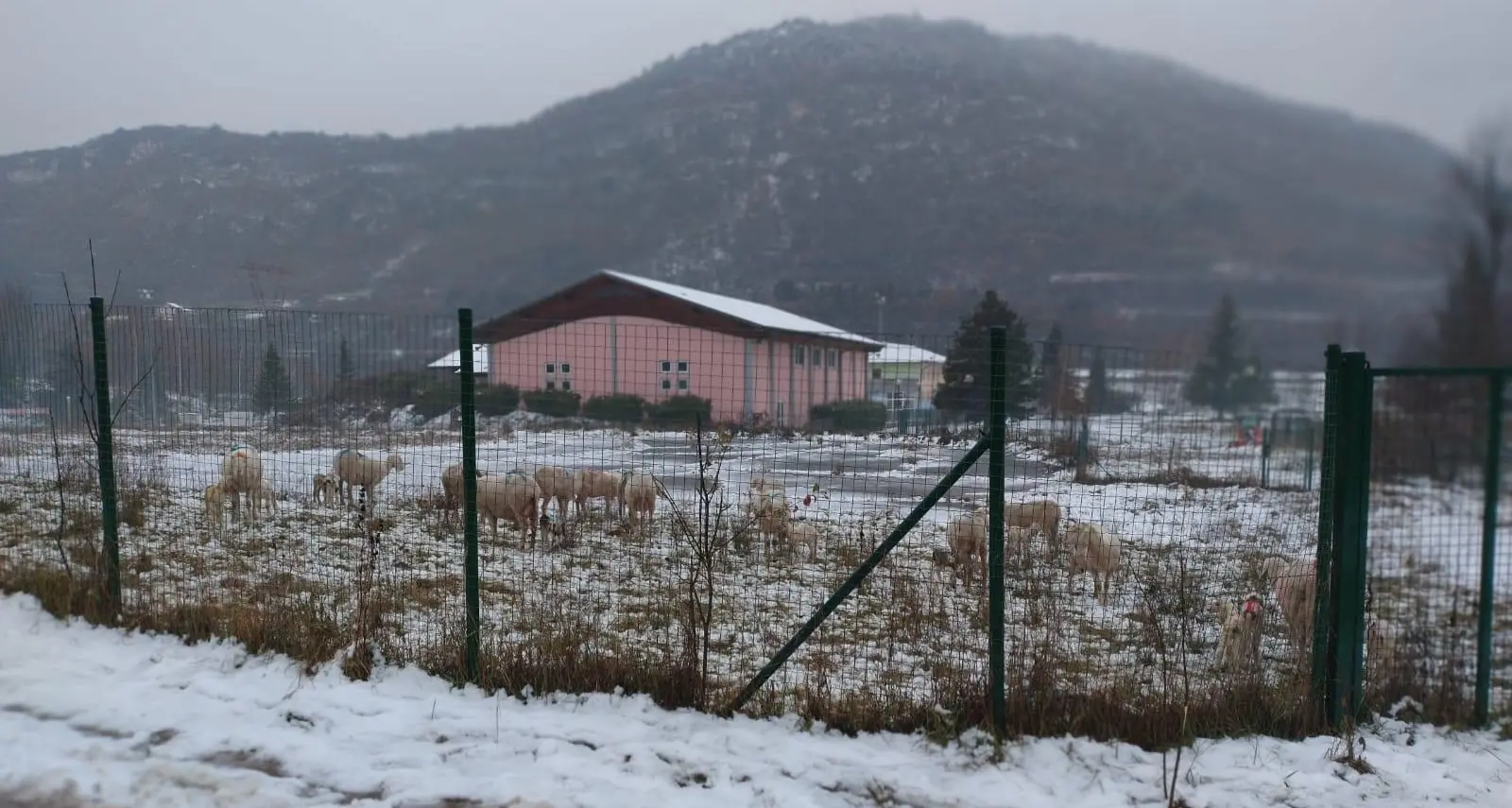 Campel, Trilacum, Imis sul Bondone: le Asuc del territorio del Comune di Trento fanno fronte