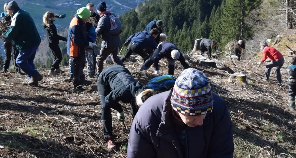 Giornata delle Foreste, oltre 53mila nuove piante nelle aree colpite dal bostrico e dalla tempesta Vaia