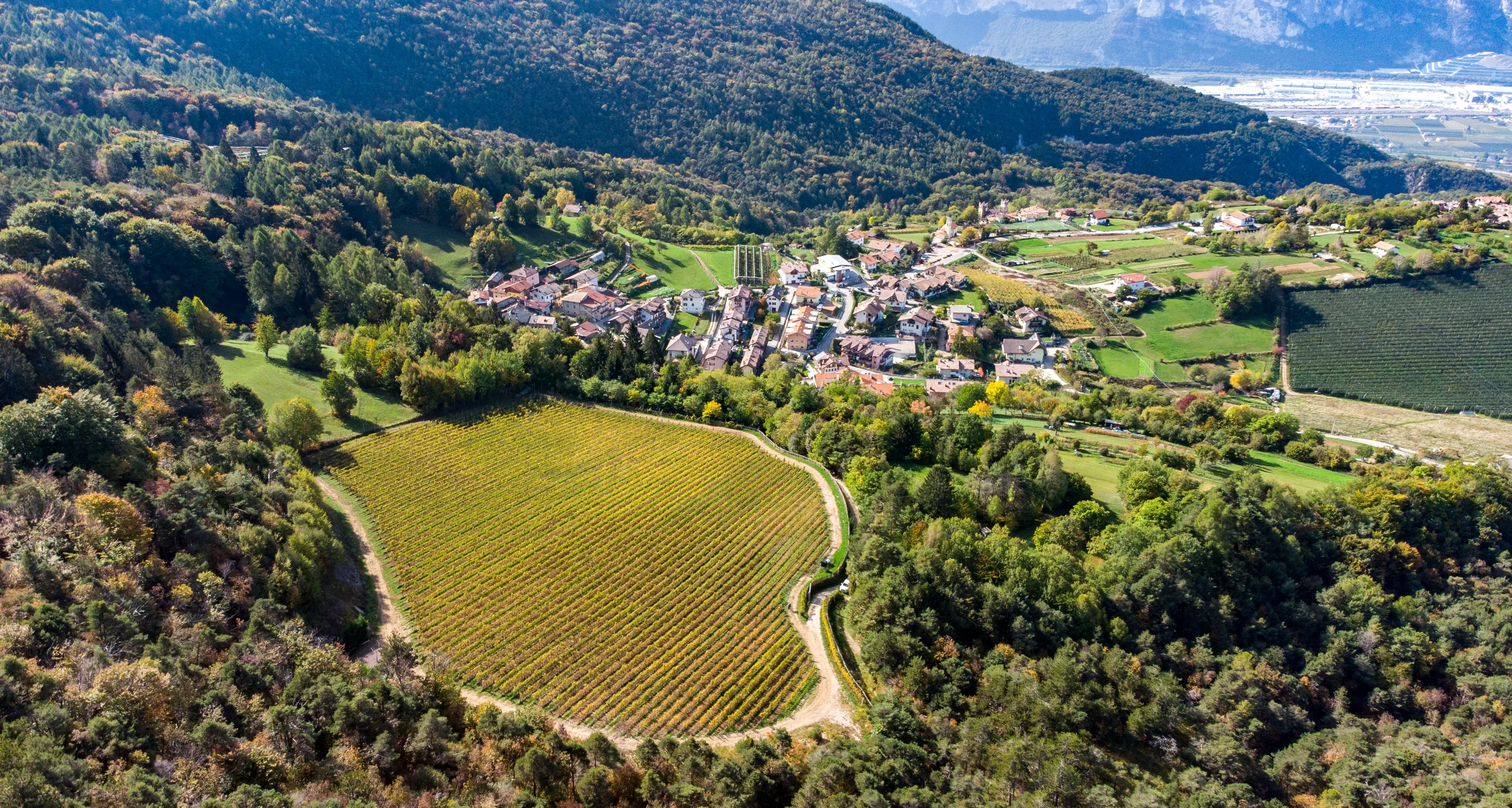 Maso Martis, dopo il successo del Madame e del Rosé, arriva un nuovo Trentodoc \"naturale\"