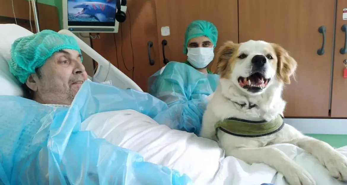 Ricoverato da un anno all’ospedale Niguarda, rivede l’amato cane Buk in reparto