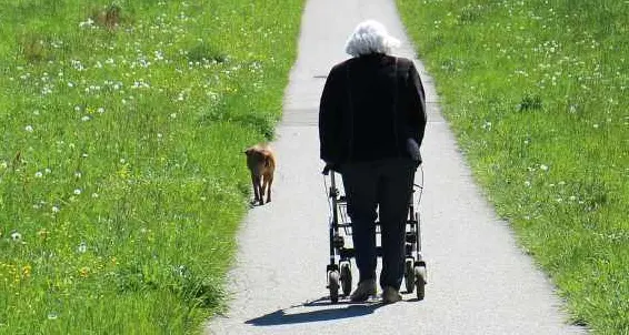 Ruba la borsetta ad un'anziana di 91 anni con deambulatore: denunciato un albanese a Rovereto