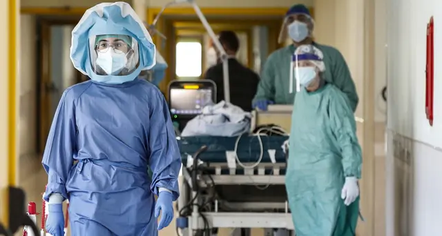 West Nile: individuati altri 2 casi tra donatori sangue Fvg