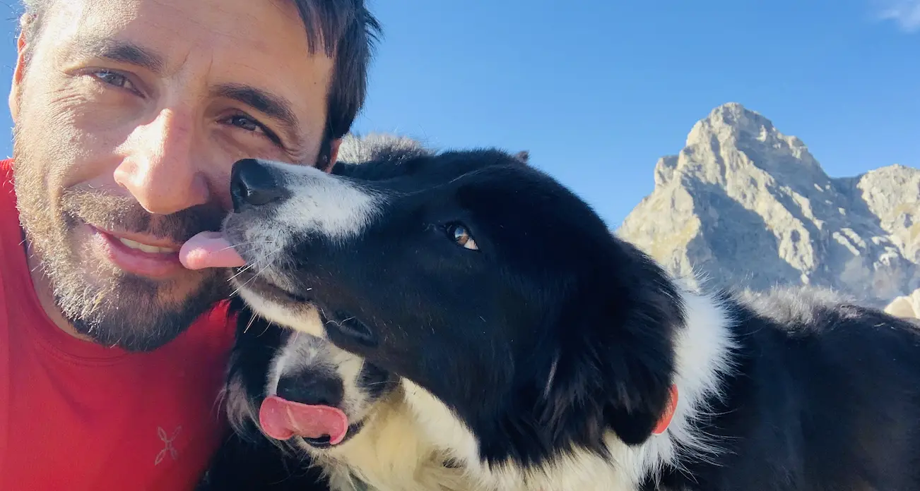 Il tuo cane non ubbidisce? Non basta l’addestramento, serve l’educazione: ecco i consigli di Christian Costamagna
