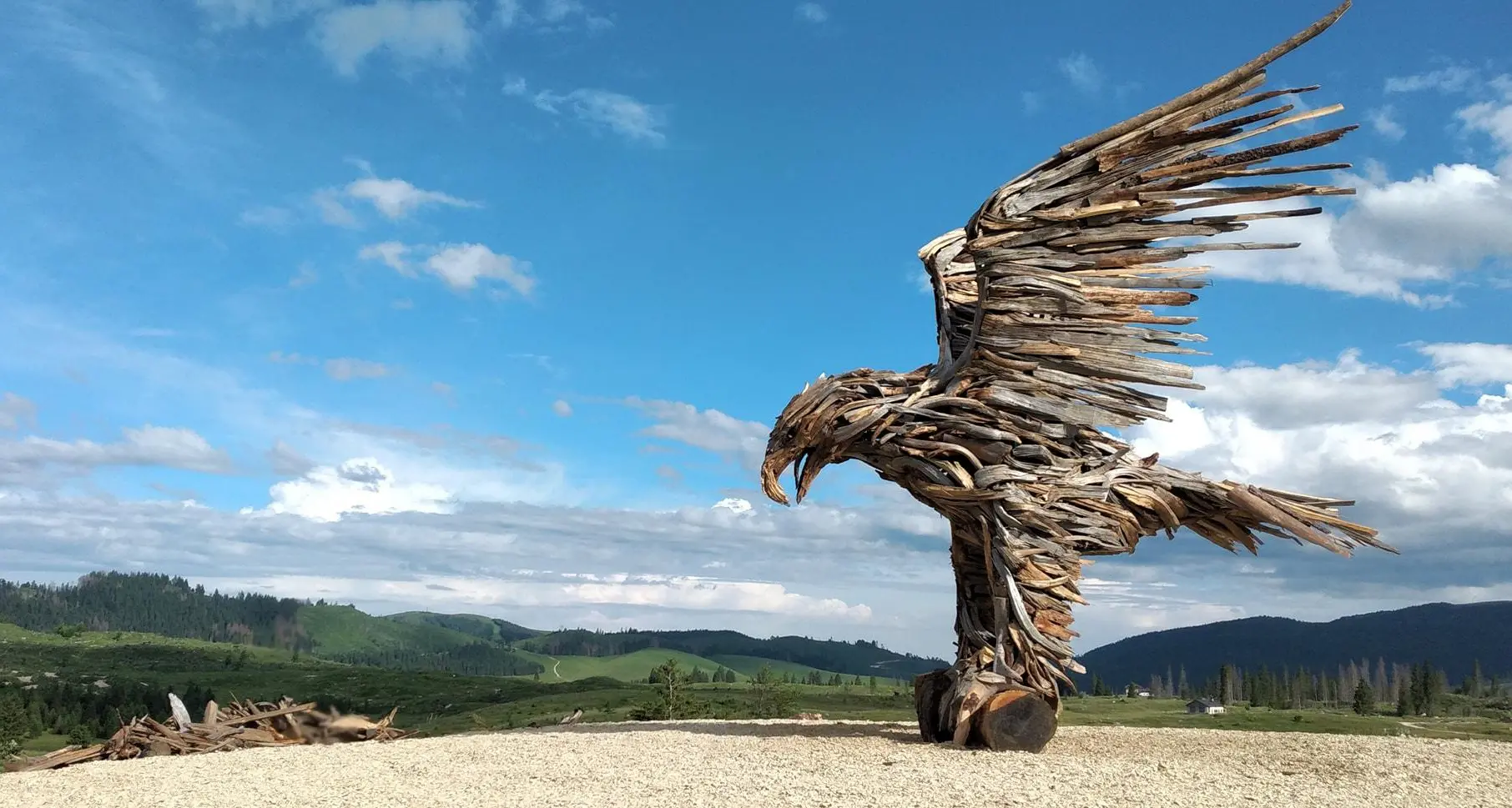 Dopo Vaia nasce per Grigno l’Aquila di Marcesina: merito dello scultore Marco Martalar